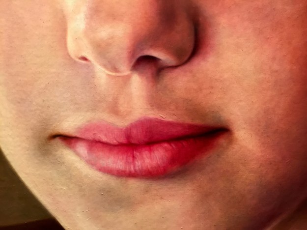 José Maria Pena Gallardo (Sevilla, n. 1966), "Flamenco 4 C" (2015), particolare, Barcellona, MEAM, Museo Europeo d'Arte Moderna. Foto SAM