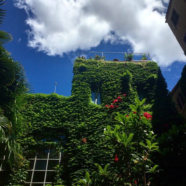 Cortile Palazzo Del Drago, Roma, Via dei Coronari. Foto Safarik Art Magazine
