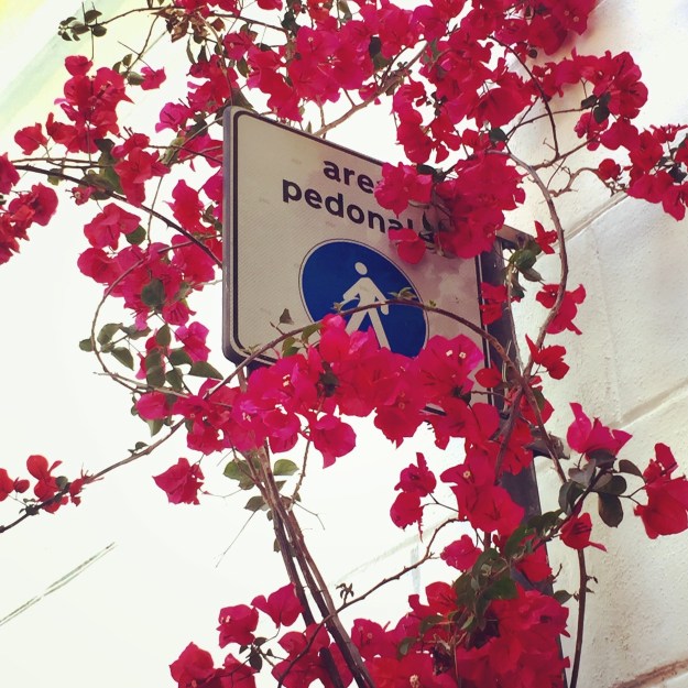 Via dei Coronari, vicino Palazzo Del Drago, Roma. Foto Safarik Art Magazine